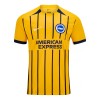 Maillot de Supporter Brighton Hove Albion Extérieur 2024-25 Pour Homme